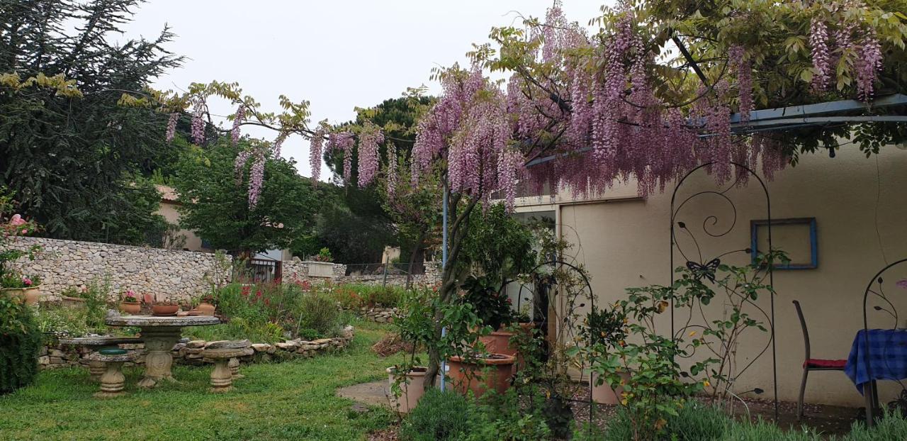 Pause Couleur Lavandula Roussas Exterior photo